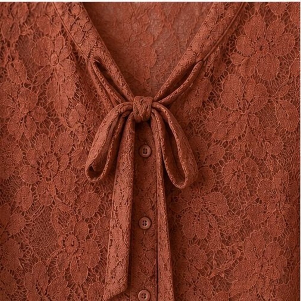 Rust Pleated Blouse - Picture 4 of 6